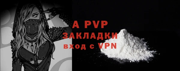 гашик Гусиноозёрск
