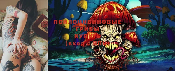 марки lsd Гусь-Хрустальный