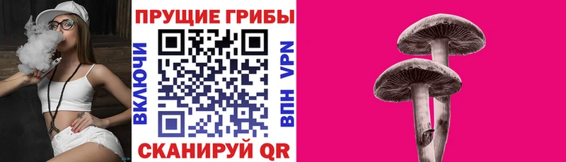 Купить  Суворов  Псилоцибиновые грибы Magic Shrooms 