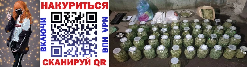Купить закладки  Суворов  Конопля планчик 